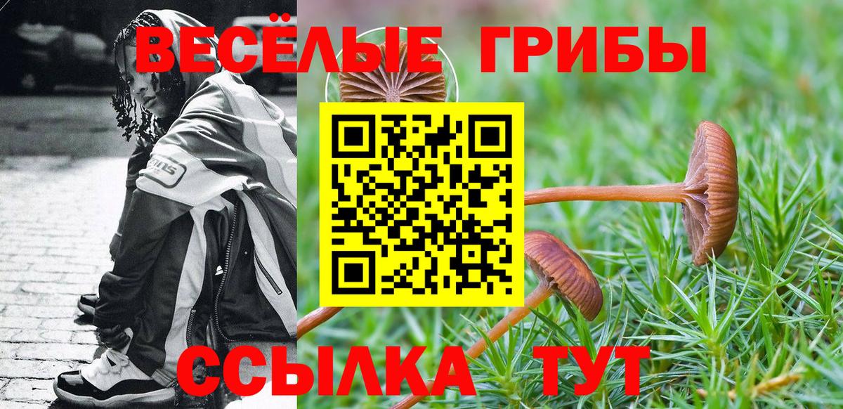 Галлюциногенные грибы Psilocybine cubensis Миасс